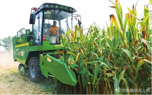 最新權威解讀 農機補貼政策全解析，助力農業現代化